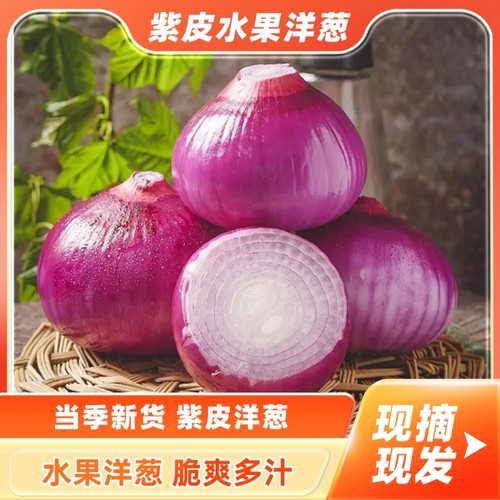 甘肃新鲜采摘紫皮洋葱