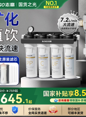 政府补贴志高商用净水器大流量超滤直饮餐饮咖啡奶茶店专用自来水