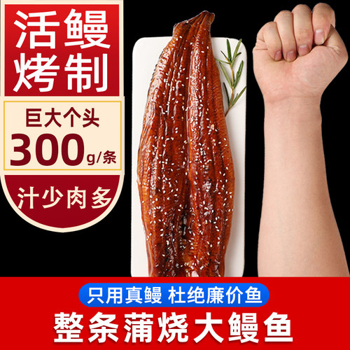 日式蒲烧鳗鱼即食寿司烧烤鳗鱼饭