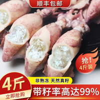 海兔子滿籽新鮮筆管魚小魷魚籽烏
