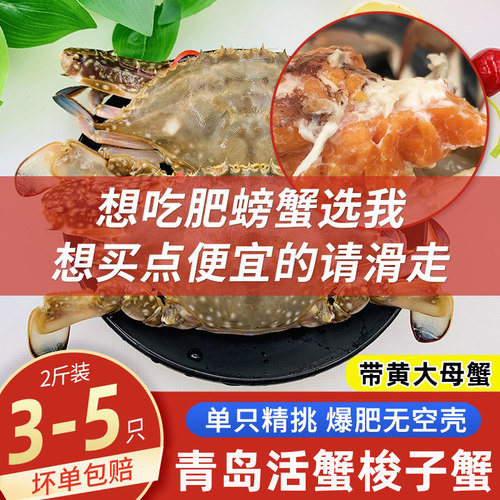 梭子蟹大螃蟹新鲜海蟹满黄红膏