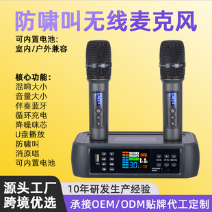 朗声D80万能带DSP防啸叫混响蓝牙线麦克风话筒唱歌家用娱乐ktv无