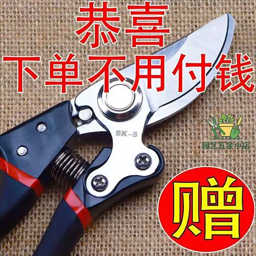 德国工艺进口钢枝剪剪树剪子果树剪修枝剪刀家用花木葡萄修剪树枝