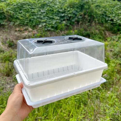 多肉叶插盘播种育苗盘生石花育苗盆塑料种植筐多肉盆透明闷养盖