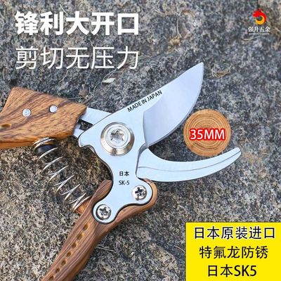 日本原装进口SK5钢修枝剪强力园林果树大号剪子粗树枝专用花剪刀