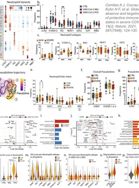 网络毒理学分析服务 预测药物毒性副作用机制专业可靠