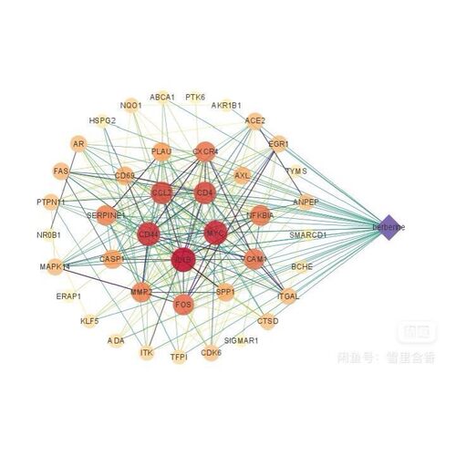 网络药理学 分子对接 教学 富集分析 PPI拓扑分析 聚类分析