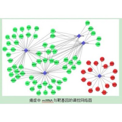 Ppi,蛋白互作,cytoscape, hub gene,网络药理学,聚类热图