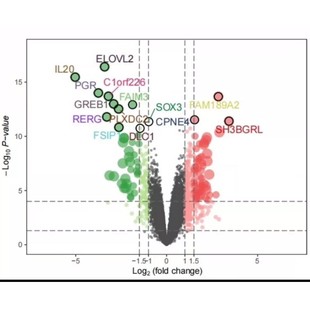 r语言安装包rstudio软件下载远程安装生信包代码报错调试问题解决