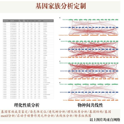 GO KEGG功能富集TCGA单基因GSEA分析气泡图柱状图
