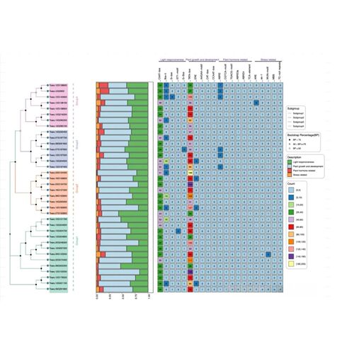 单细胞测序转录组r语言生物信息TCGA GEO数据库挖掘