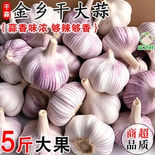 超低价山东金乡紫皮大蒜头干蒜蔬菜批发净重蒜网兜特大s新鲜种植