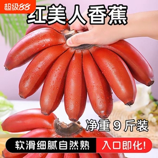 广西红美人香蕉自然熟世界十大稀有水果之一