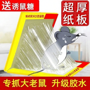 强力粘鼠板捕鼠贴沾胶老鼠笼灭鼠器专业抓灭鼠家用一锅端厨房粘胶
