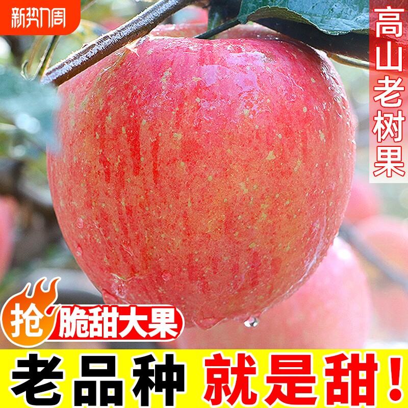 陕西高山红富士丑苹果脆甜新鲜水果应当季孕妇大冰糖心包邮一整箱