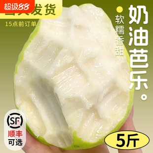 广西番石榴芭乐白心冰淇淋当季新鲜水果应季软糯整箱包邮甜心香甜