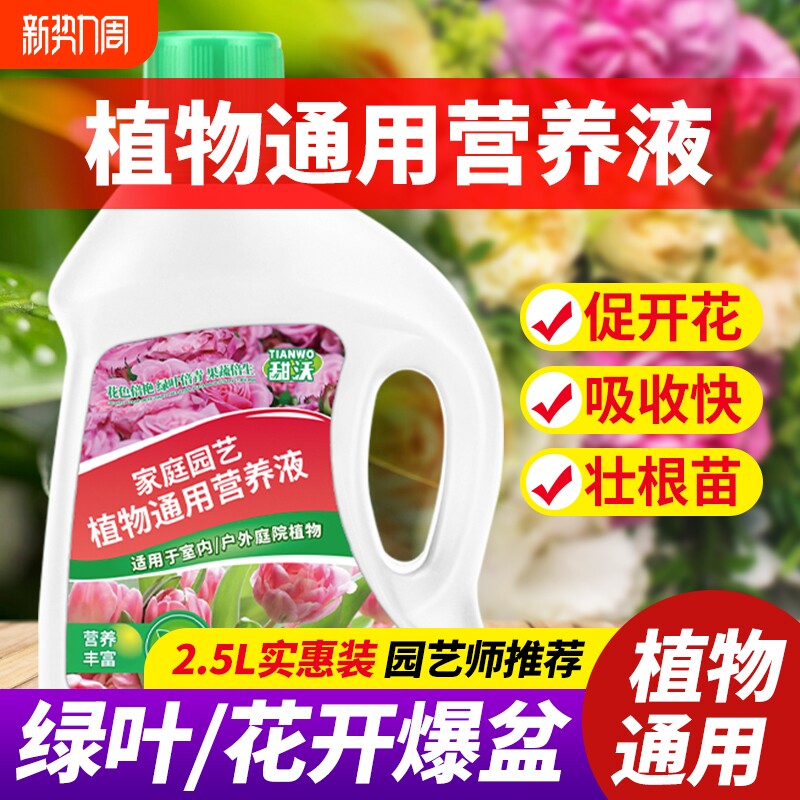 营养液植物通用型花肥发财树富贵竹绿萝水培盆栽家用花卉养花肥料