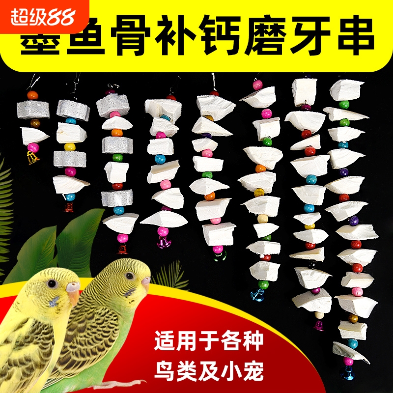 冠之亚鹦鹉墨鱼骨串补钙