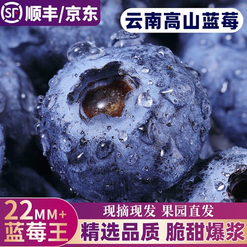 【12盒花香蓝莓特惠】脆甜多汁
