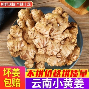 2025正宗云南小黄姜生姜老姜新鲜现挖鲜姜包邮月子姜农家自种食用