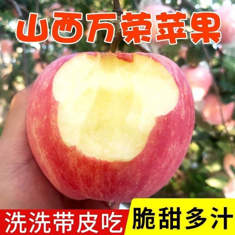 【果园直发】正宗山西红富士苹果脆甜冰糖心苹果新鲜水果整箱批发