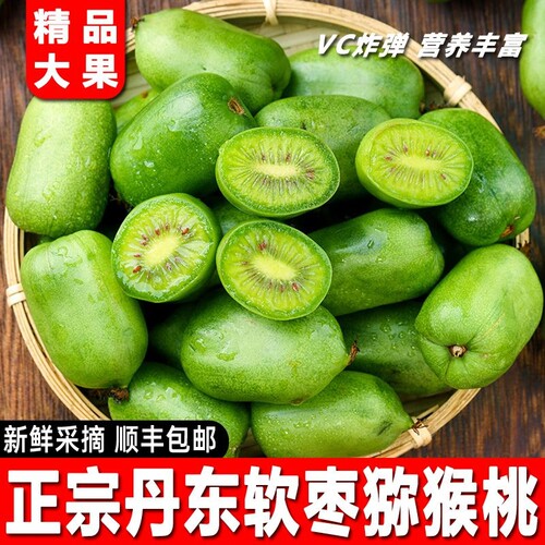正宗丹东软枣猕猴桃新鲜顺丰包邮