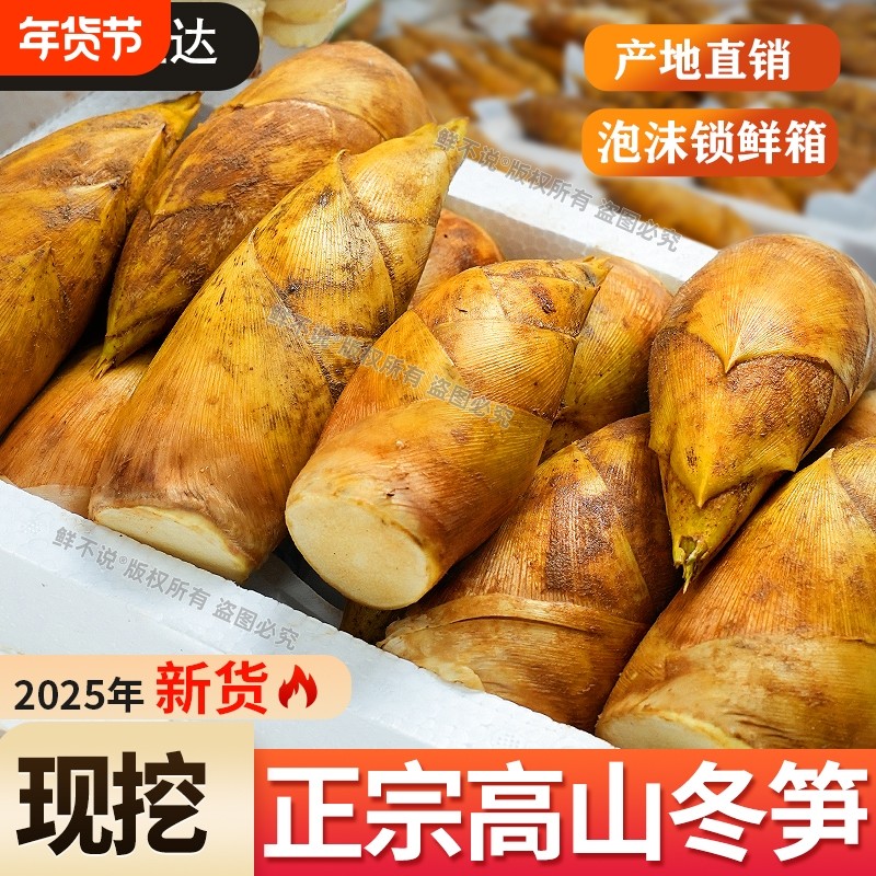 现挖冬笋新鲜正宗两头尖竹笋黄泥拱笋尖农家野生精品大笋5斤蔬菜