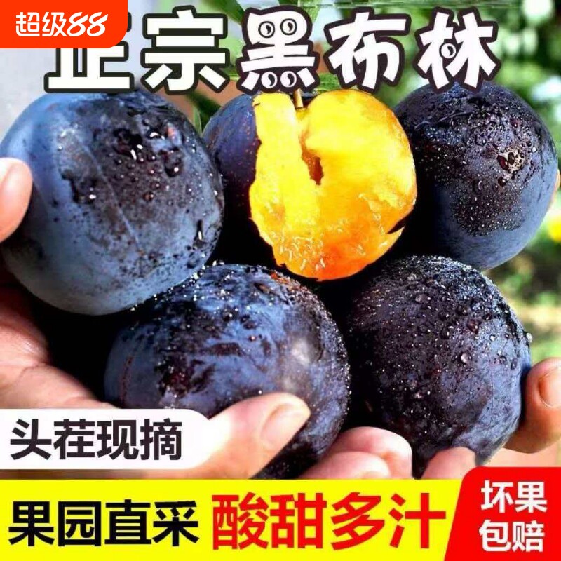 黑布林水果李子正宗新鲜应季现摘酸甜脆李黑宝石黄肉李子整箱包邮