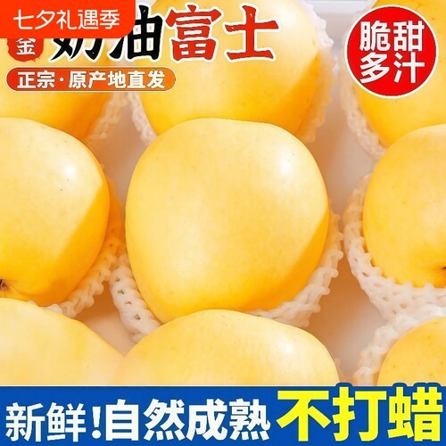 山东烟台黄金奶油富士苹果脆甜多汁当季新鲜水果现摘整箱时令鲜果