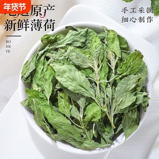 梦之巅 薄荷叶茶精选干薄荷茶薄荷叶片新鲜可食用泡水喝500g袋装