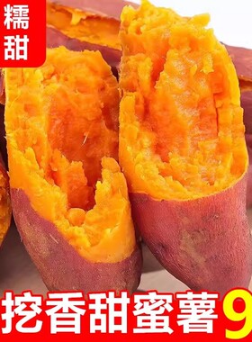 现挖蜜薯番薯地瓜红薯新鲜龙九黄心沙地山芋正宗批发软糯香甜蜜