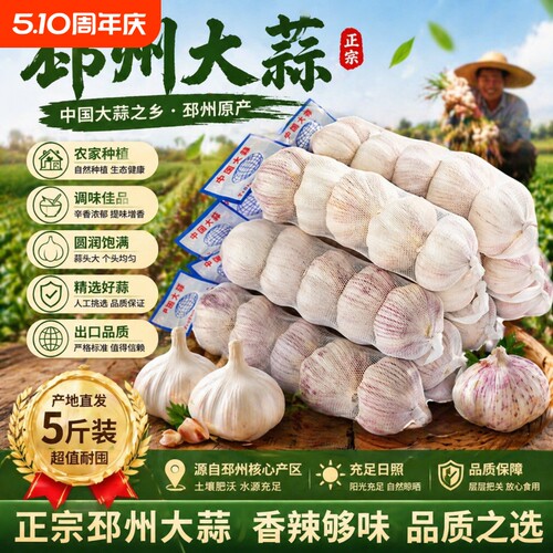 【出口品质】邳州大蒜精品5cm条特级紫皮干大蒜果实饱满产地直发