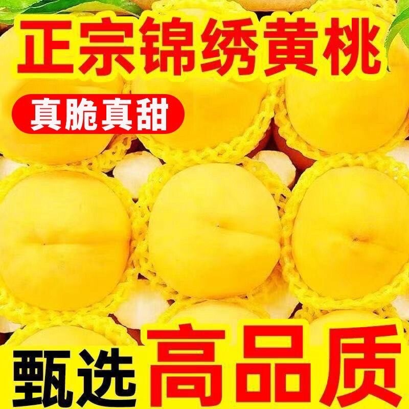 黄桃新鲜水果黄金蜜桃锦绣当季孕妇水果时令黄毛桃整箱大桃子包邮