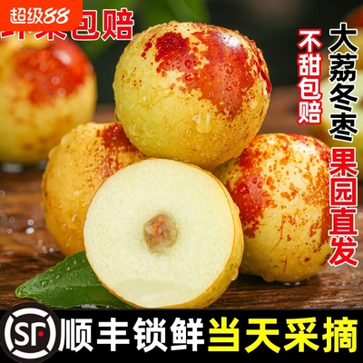 正宗山西大荔冬枣山西新鲜当季水果5斤枣子冰糖脆甜红枣整箱包邮