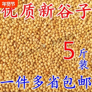 新黄谷子带壳小米虎皮牡丹玄凤中小型鹦鹉文鸟鸟粮鸟食鸟饲料粮食