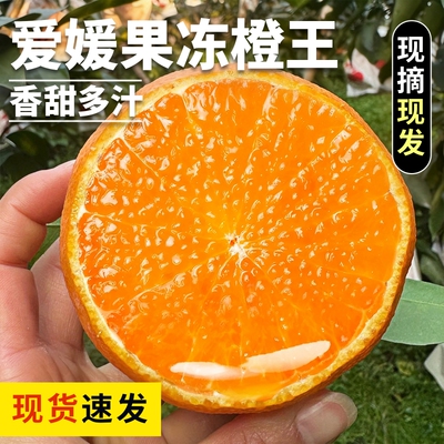 爱媛果冻橙鲜果新鲜整箱发