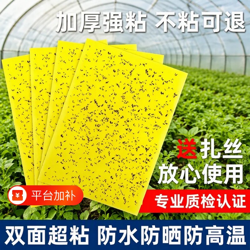 粘虫板黄板双面强力粘蚊贴果园苍蝇诱粘剂小飞虫果蝇贴诱捕器室外
