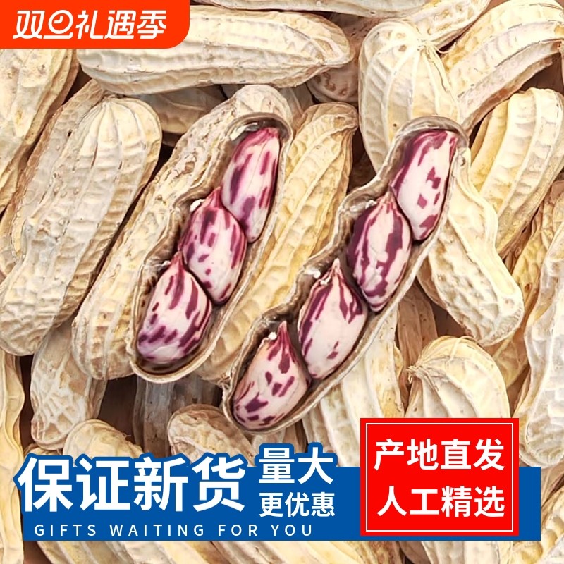 2025带壳七彩花生云南普洱晒干五彩花熟花生零食水煮咸干干货健康
