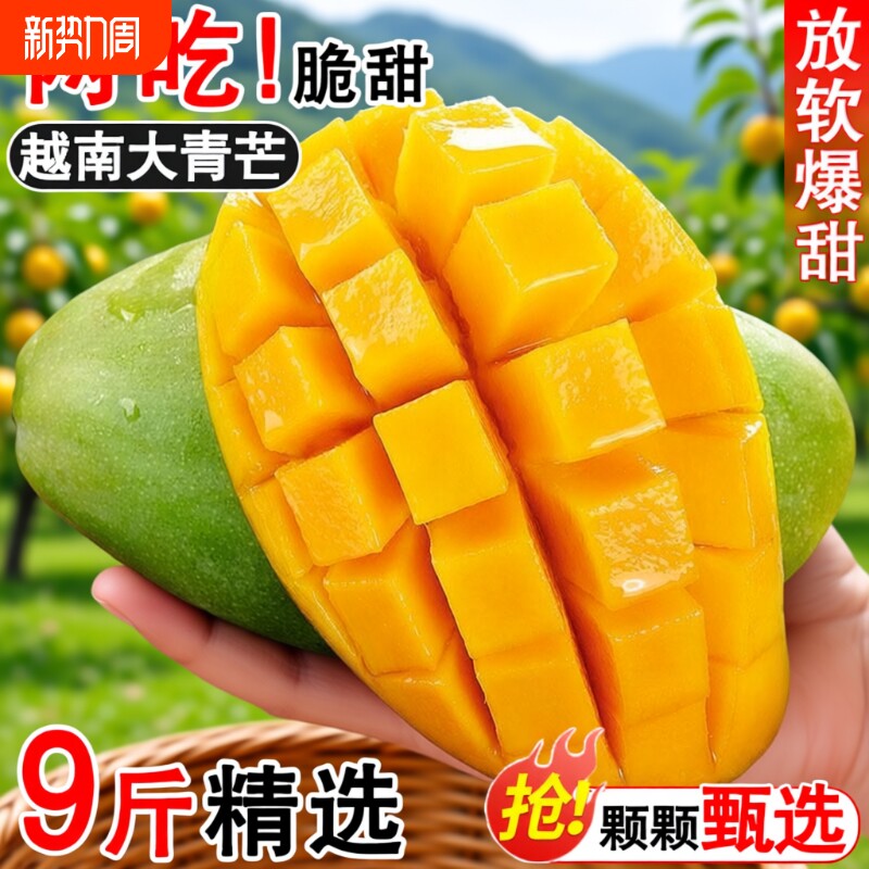 【生熟两吃】越南大青芒应季新鲜芒果超甜水果青皮甜心芒产地直发