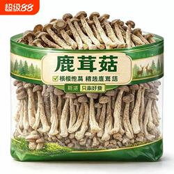 【精选古田鹿茸菇】干货鹿茸菇煲汤干锅香脆可口500g新鲜日晒无硫