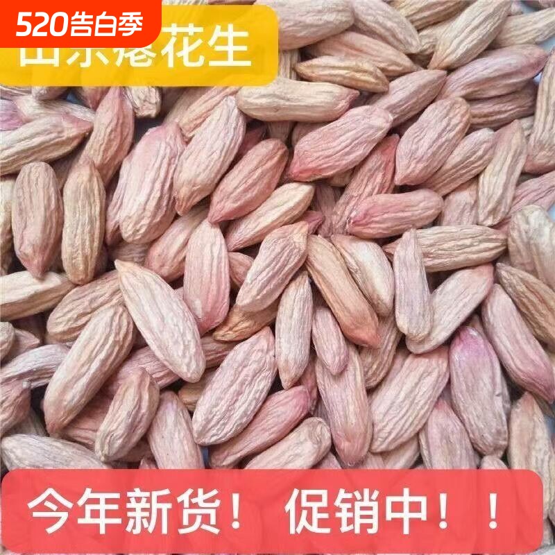 花生米瘪子山东瘪花生2026新货甘甜零食生小粒花生仁批发花生新鲜