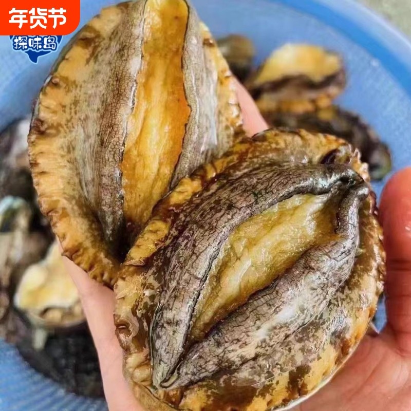 探味岛【顺丰包邮】福建东山岛鲍鱼新鲜速冻大鲍鱼火锅煲汤佛跳墙,水产肉类/新鲜蔬果/熟食,鲍鱼,淘宝优惠券,粉丝福利购,淘宝优惠卷
