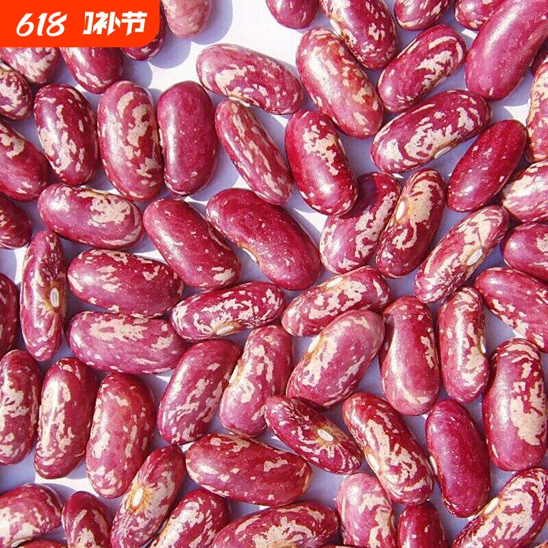 红花豆精选红饭豆农家 红花芸豆四季豆红花豆杂粮 农家自产