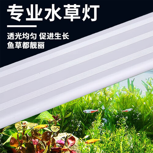 【附近1W+】LED专业照明水草灯