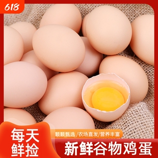 谷饲喂养鸡蛋新鲜蛋品草鸡蛋日常食用烹饪烘焙食材美味好吃农场