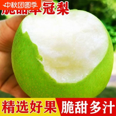 现货正宗砀山青皮梨子翠冠梨翠玉皇冠梨脆甜当季新鲜水果整箱包邮