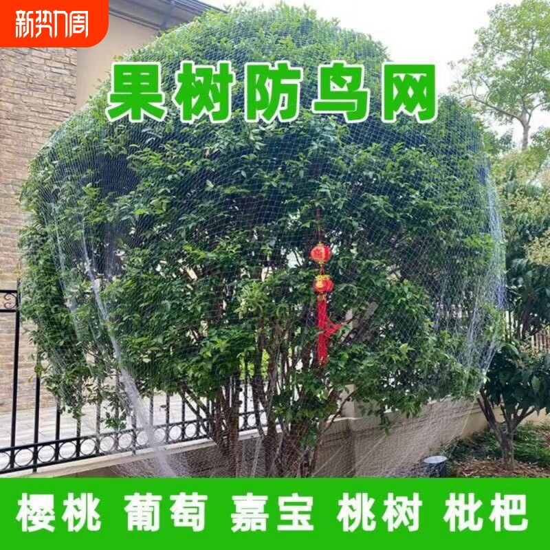 防鸟网果树防鸟罩嘉宝果防小鸟专用尼龙网围网果园天网防护网阳台