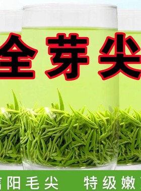 信阳毛尖茶叶2026新茶正宗原产明前特级嫩芽尖绿茶浓香型毛尖罐装