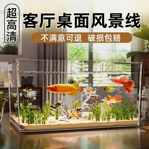 一体成型超高清透明鱼缸乌龟缸