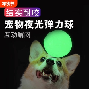 狗狗玩具球弹力耐咬磨牙训犬球夜光发光宠物解闷浮水橡胶互动飞盘